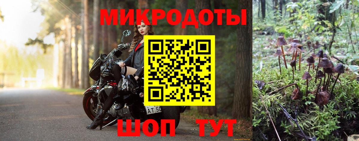 Галлюциногенные грибы Psilocybine cubensis Алатырь
